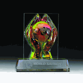 Rainbow Precious World Trophy (6 1/2"x5")